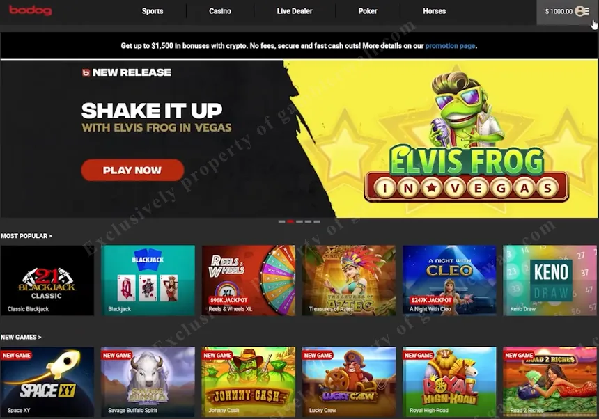 Bodog casino lobby — slots, live dealer, and poker in one place