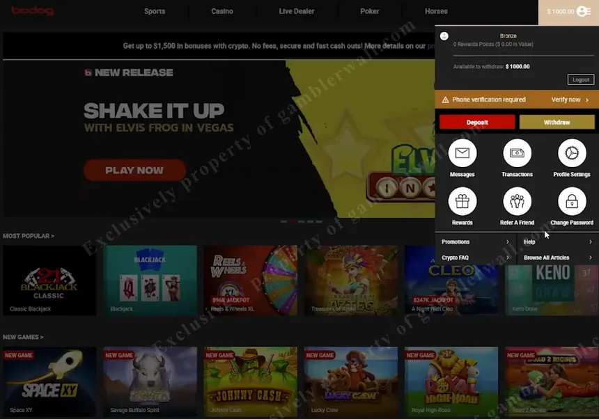 Player account menu — deposits, bonuses, and account settings