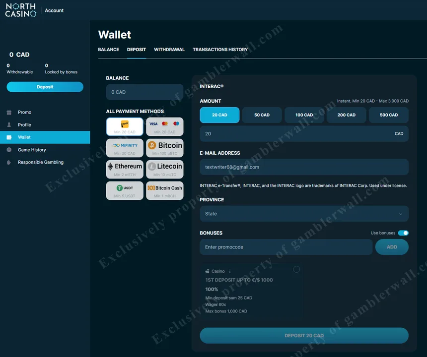 Player wallet — balance overview and transaction history